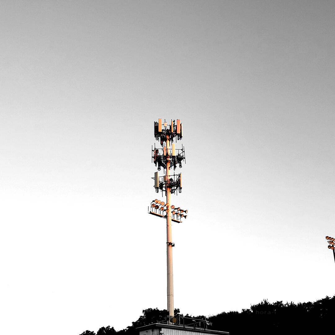 Untitled [,] - Paint.NET