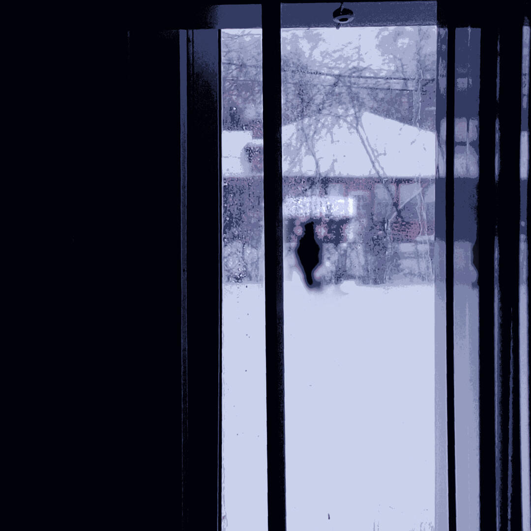 Untitled [,] - Paint.NET