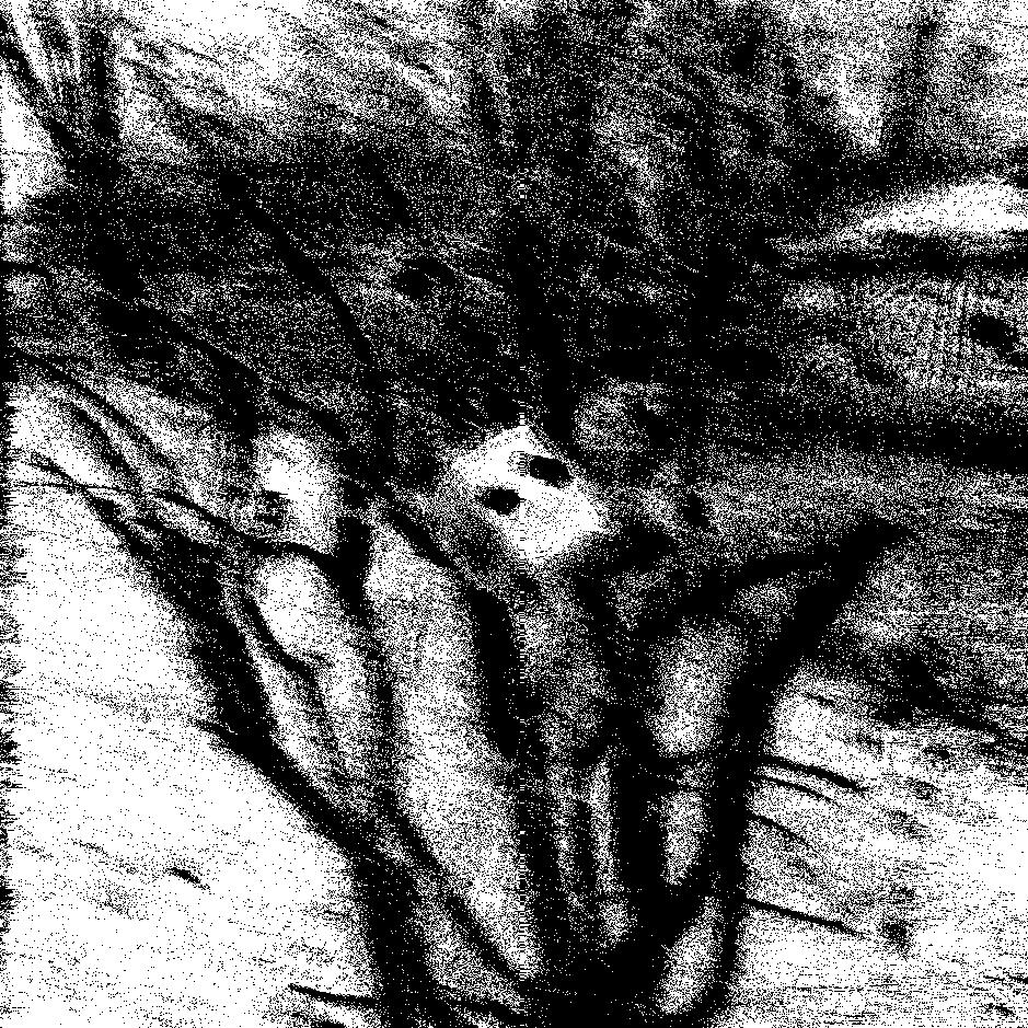 Untitled [,] - Paint.NET